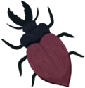 Käfer