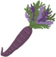 Carrot