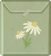 Chamomile Seeds