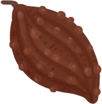 Cocoa Bean