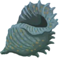 海螺乐器