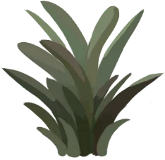 Hierba cortada