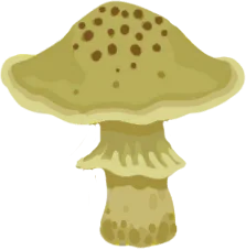 Death Cap