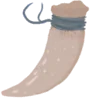 Fang