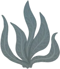 Frostleaf