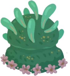 Kelp Cake