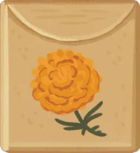 Ringelblumensamen
