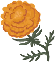 Marigold