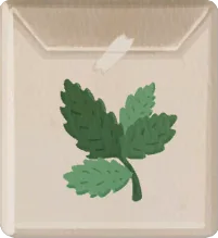 Mint Seeds