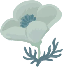 Amapola lunar