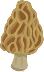 Colmenilla