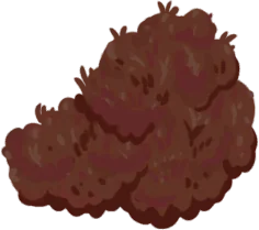 Moss