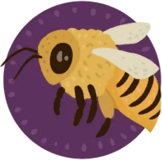 Abeille des montagnes