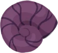 Nautilus