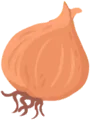 Zwiebel