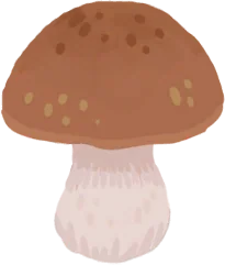 牛肝菌