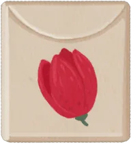 Rote Tulpenknolle