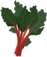 Rhubarb