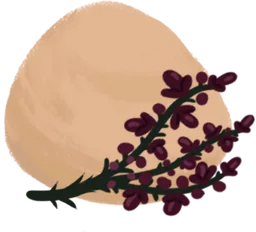 Ruby Bell Dough