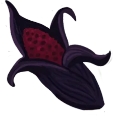 Scarlet Maize
