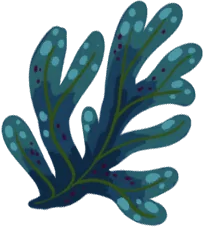 Seaweed