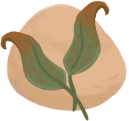 Sauerampferteig