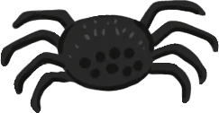 Araignée