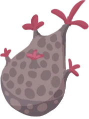 Spring Tuber