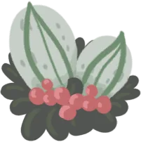Spundle Bean