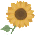 Girasol