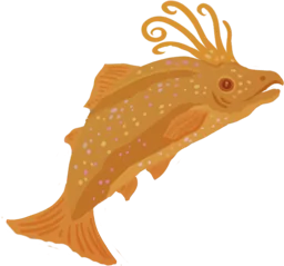 Sunray Salmon