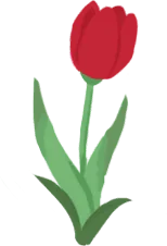 Tulip