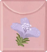 Semillas de flor crepuscular