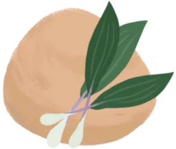 Pâte aux légumes