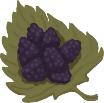 Moras silvestres